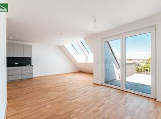 Anlegerwohnung für Investoren (Nettopreis) - sofort vermietbar inkl. Küche - DG-Wohnung mit Terrasse in Ruhelage auf Eigengrund, 506431 €, Immobilien-Wohnungen in 1220 Donaustadt
