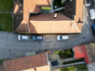 Stark sanierungsbedürftiges Objekt in Rabensburg!, 45000 €, Immobilien-Häuser in 2274 Rabensburg