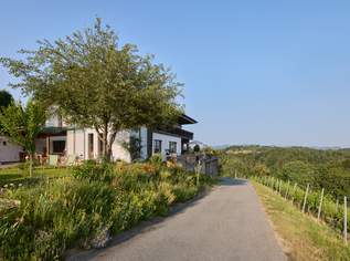 Weingut in einmaliger Alleinlage in der Südweststeiermark, 0 €, Immobilien-Gewerbeobjekte in 8544 Brunn Weingut in einmaliger Alleinlage in der Südweststeiermark, 0 €, Immobilien-Gewerbeobjekte in 8544 Brunn