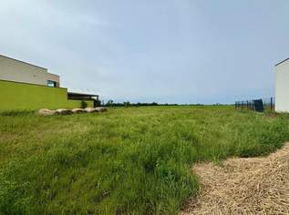 ++ BAUGRUNDSTÜCK ++ Kapellerfeld – ca. 519 m² für Ihr HAUS, 374000 €, Immobilien-Grund und Boden in 2201 Gerasdorf bei Wien ++ BAUGRUNDSTÜCK ++ Kapellerfeld – ca. 519 m² für Ihr HAUS, 374000 €, Immobilien-Grund und Boden in 2201 Gerasdorf bei Wien