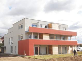 Moderne 2-Zimmer-Wohnung mit Balkon und Top-Lage in Zellerndorf, 700.16 €, Immobilien-Wohnungen in 2051 Zellerndorf Moderne 2-Zimmer-Wohnung mit Balkon und Top-Lage in Zellerndorf, 700.16 €, Immobilien-Wohnungen in 2051 Zellerndorf