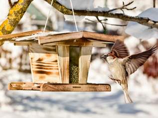 Vogelfuttersilo Chalet