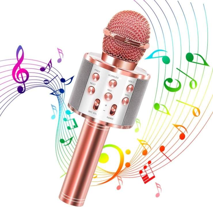 Mikrofon Karaoke