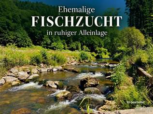 Wo die Natur zuhause ist – Ehemalige FISCHZUCHT mit vielseitigem Potenzial, 313000 €, Immobilien-Häuser in 3681 Gemeinde Hofamt Priel Wo die Natur zuhause ist – Ehemalige FISCHZUCHT mit vielseitigem Potenzial, 313000 €, Immobilien-Häuser in 3681 Gemeinde Hofamt Priel