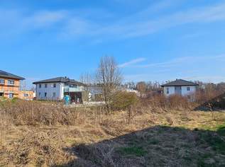 Aufgeschlossenes Eckgrundstück am Stadtrand von Enns ohne Bauzwang, 239000 €, Immobilien-Grund und Boden in 4470 Enns