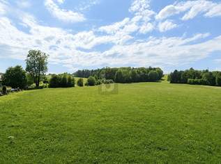 LUXURIÖSES WOHNEN MIT HANDGEFERTIGTER TISCHLERAUSSTATTUNG, TRAUMHAFTEM GRÜNBLICK UND TRANSPARENTER PAUSCHALMIETE, 1300 €, Immobilien-Wohnungen in 5164 Seeham LUXURIÖSES WOHNEN MIT HANDGEFERTIGTER TISCHLERAUSSTATTUNG, TRAUMHAFTEM GRÜNBLICK UND TRANSPARENTER PAUSCHALMIETE, 1300 €, Immobilien-Wohnungen in 5164 Seeham