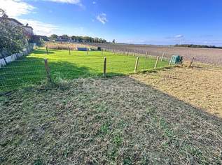 Idyllisches Freizeitgrundstück in Pframa: 150m² Garten mit Grünblick, nur 450 € pro Jahr Miete!, 37.5 €, Immobilien-Grund und Boden in 2305 Pframa Idyllisches Freizeitgrundstück in Pframa: 150m² Garten mit Grünblick, nur 450 € pro Jahr Miete!, 37.5 €, Immobilien-Grund und Boden in 2305 Pframa