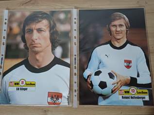 WM 1978 Sammlung - WM-Lexikon + WM-EXTRA + Kurier