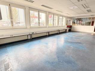 Günstiges Kleinbüro mit Gemeinschaftsflächen im CONCORDE BUSINESS PARK, 838.32 €, Immobilien-Gewerbeobjekte in 2320 Schwechat