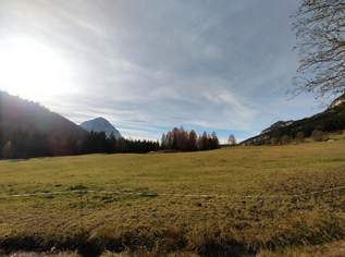 Baugrund in sonniger, harmonischer Hanglage in Wörschachwald, 150000 €, Immobilien-Grund und Boden in 8950 Stainach-Pürgg