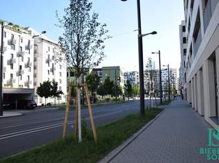 In "The Wild" - großzügiger Garagenplatz!, 139 €, Immobilien-Kleinobjekte & WGs in 1020 Leopoldstadt