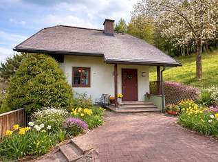 Feistritz im Rosental - idyllisches Häuschen für Singles oder Paare mit Nebengebäuden, 238000 €, Immobilien-Häuser in 9181 Feistritz im Rosental