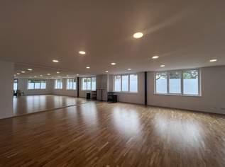110m2 Saal zur individuellen Nutzung!, 23 €, Immobilien-Gewerbeobjekte in 2353 Gemeinde Guntramsdorf