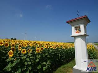 Toplage: ca. 10 Hektar Acker in Baden bei Wien!, 0 €, Immobilien-Grund und Boden in 2500 Gemeinde Baden