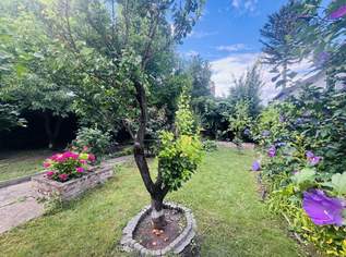 IHR RÜCKZUGSORT AN DER ALTEN DONAU - CHARMANTES HAUS AUF EIGENGRUND, 565000 €, Immobilien-Häuser in 1220 Donaustadt IHR RÜCKZUGSORT AN DER ALTEN DONAU - CHARMANTES HAUS AUF EIGENGRUND, 565000 €, Immobilien-Häuser in 1220 Donaustadt