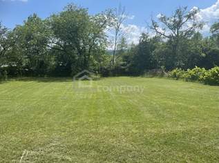 Mehr Raum für die schönen Seiten des Lebens - 1.252 m² Baugrundstück mit Altbaumbestand, 232000 €, Immobilien-Grund und Boden in 2630 Gemeinde Ternitz Mehr Raum für die schönen Seiten des Lebens - 1.252 m² Baugrundstück mit Altbaumbestand, 232000 €, Immobilien-Grund und Boden in 2630 Gemeinde Ternitz