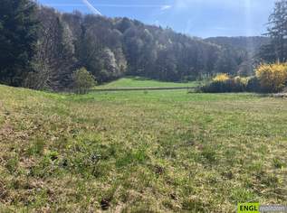 Baugrund in idyllischer Lage nahe Warth, 79000 €, Immobilien-Grund und Boden in 2831 Gemeinde Warth