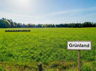 Agrar-Juwel am Haunsberg: Ebenes Grünland mit angrenzendem Waldstück, 370000 €, Immobilien-Grund und Boden in 5162 Obertrum am See
