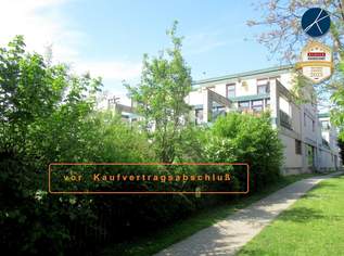 4 Zimmer mit Terrasse (Fernblick), 165900 €, Immobilien-Wohnungen in 2020 Hollabrunn