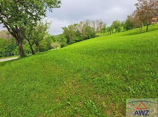 Wiese im schönen Mostviertel!, 0 €, Immobilien-Grund und Boden in 3352 Sankt Peter in der Au-Dorf