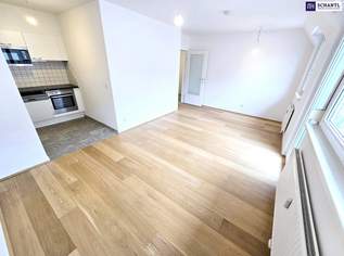 Kompakt wohnen - Groß genießen! Schnell sein! Klein, hell und voller Möglichkeiten im 1.Dachgeschoss! Perfekte Aufteilung + Tolle Infrastruktur!, 890 €, Immobilien-Wohnungen in 1160 Ottakring