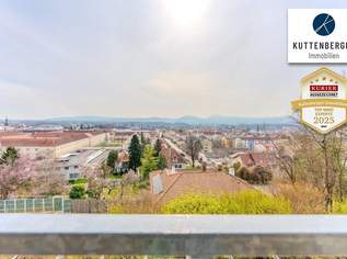 Bewilligtes Umbau-Projekt: Ihr zukünftiger Wohntraum am Kremser Kreuzberg, 1390000 €, Immobilien-Häuser in 3500 Am Steindl