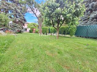 500 Meter vom Mühlwasser entfernt! Bauträgerliegenschaft in beliebter Ruhelage, 1780000 €, Immobilien-Grund und Boden in 1220 Donaustadt 500 Meter vom Mühlwasser entfernt! Bauträgerliegenschaft in beliebter Ruhelage, 1780000 €, Immobilien-Grund und Boden in 1220 Donaustadt