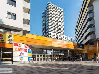 MÖBLIERTE 50M² MIT 55M² ECKTERRASSE IM LEOPOLD-TOWER IM CITY GATE, 1200 €, Immobilien-Wohnungen in 1210 Floridsdorf