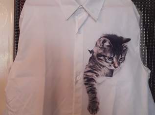 SCHNURRDIBURLI SUCHT EIN FRAUCHEN !!, 11 €, Kleidung & Schmuck-Damenkleidung in 1200 Brigittenau