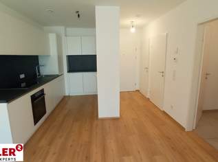 Modern, Neu, Zentral, 2 Zimmer Mietwohnung + Loggia in Linz, 975.23 €, Immobilien-Wohnungen in Oberösterreich Modern, Neu, Zentral, 2 Zimmer Mietwohnung + Loggia in Linz, 975.23 €, Immobilien-Wohnungen in Oberösterreich