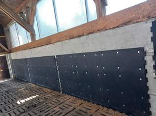 Verkaufe Gummimatten Belmondo Basic, gepuzzelt, 1000 €, Marktplatz-Tiere & Tierbedarf in 2392 Katastralgemeinde Stangau Verkaufe Gummimatten Belmondo Basic, gepuzzelt, 1000 €, Marktplatz-Tiere & Tierbedarf in 2392 Katastralgemeinde Stangau