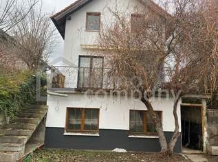 Haus am See 3452 Trasdorf Niederösterreich, 475000 €, Immobilien-Häuser in 3452 Trasdorf