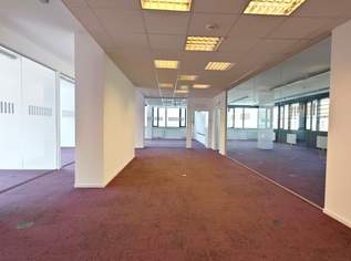 Provisionsfrei - MODERNES BÜRO IN DER DRESDNER STRASSE, 6365 €, Immobilien-Gewerbeobjekte in 1200 Brigittenau