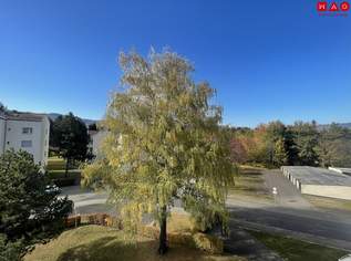 Wunderschöne, neu renovierte 3-Zimmer-Wohnung, 853.34 €, Immobilien-Wohnungen in 8750 Judenburg Wunderschöne, neu renovierte 3-Zimmer-Wohnung, 853.34 €, Immobilien-Wohnungen in 8750 Judenburg