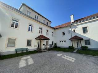 ERSTBEZUG nach RENOVIERUNG + BÜRO+ SCHÖNER BLICK in den GARTEN!, 1187 €, Immobilien-Gewerbeobjekte in 2483 Katastralgemeinde Weigelsdorf