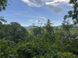 Grundstück für ihr individuelles Wohnprojekt in Altenberg bei Linz!, 0 €, Immobilien-Grund und Boden in 4203 Donach