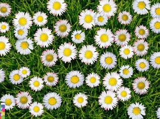 NÄHE STEINER TOR - STADTGRABEN 7A!, 602.58 €, Immobilien-Wohnungen in 3500 Am Steindl