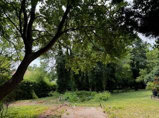 Grünruhelage trifft Lebensqualität – Baugrundstück in Baden bei Wien, 990000 €, Immobilien-Grund und Boden in 2500 Gemeinde Baden Grünruhelage trifft Lebensqualität – Baugrundstück in Baden bei Wien, 990000 €, Immobilien-Grund und Boden in 2500 Gemeinde Baden