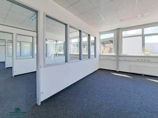 Büro- und Lagerfläche - vielseitig nutzbar mit Parkmöglichkeit, 5101 €, Immobilien-Gewerbeobjekte in 5020 Salzburg