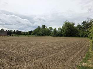 Baugrundstück im Dorfgebiet mit angrenzendem Freilangrund in sehr ruhiger Lage mit Ganztagssonne., 36000 €, Immobilien-Grund und Boden in 8483 Deutsch Goritz Baugrundstück im Dorfgebiet mit angrenzendem Freilangrund in sehr ruhiger Lage mit Ganztagssonne., 36000 €, Immobilien-Grund und Boden in 8483 Deutsch Goritz