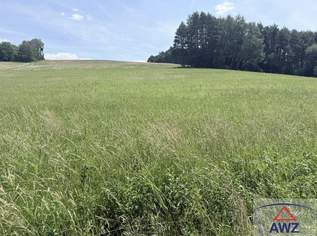 Landwirtschaftliche Flächen in der Nähe von Neuberg im Burgenland!, 0 €, Immobilien-Grund und Boden in 7537 Neuberg im Burgenland Landwirtschaftliche Flächen in der Nähe von Neuberg im Burgenland!, 0 €, Immobilien-Grund und Boden in 7537 Neuberg im Burgenland
