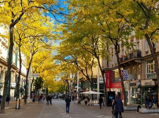 Gastro Light-Geschäft- Toplage Mariahilfer Straße, 18100 €, Immobilien-Gewerbeobjekte in 1060 Mariahilf Gastro Light-Geschäft- Toplage Mariahilfer Straße, 18100 €, Immobilien-Gewerbeobjekte in 1060 Mariahilf