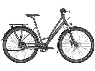 Bergamont Horizon N8 Belt Amsterdam - shiny-dark-grey Rahmengröße: 52 cm