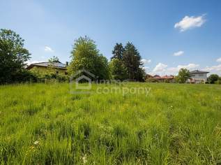SONNIGER BAUGRUND - Viel Platz für Ihr Traumhaus!, 225000 €, Immobilien-Grund und Boden in 2753 Dreistetten SONNIGER BAUGRUND - Viel Platz für Ihr Traumhaus!, 225000 €, Immobilien-Grund und Boden in 2753 Dreistetten