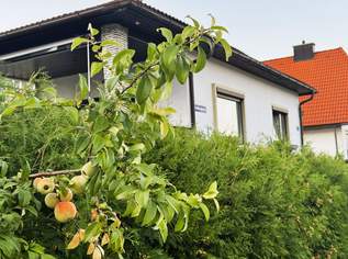Charmantes Einfamilienhaus auf 920 m² Grundstück, 285000 €, Immobilien-Häuser in 2630 Pottschach Charmantes Einfamilienhaus auf 920 m² Grundstück, 285000 €, Immobilien-Häuser in 2630 Pottschach