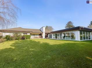 Bungalow mit Indoor-Pool, Weinkeller & außergewöhnlich großem Grundstück / Eigengrund, 995000 €, Immobilien-Häuser in 2230 Gemeinde Gänserndorf Bungalow mit Indoor-Pool, Weinkeller & außergewöhnlich großem Grundstück / Eigengrund, 995000 €, Immobilien-Häuser in 2230 Gemeinde Gänserndorf