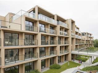 Bauprojekt Neubau baubewilligt: Studentenwohnheim, 7000000 €, Immobilien-Grund und Boden in 3500 Am Steindl