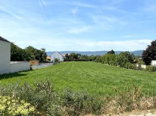 Rarität! Großer Baugrund im malerischen Oslip - 5min zum Neusiedler See!, 299600 €, Immobilien-Grund und Boden in 7064 Oslip