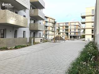 Zukunft Wohnen: Mietwohnung mit Kaufoption in Baden-Leesdorf, 1400.99 €, Immobilien-Wohnungen in 2500 Gemeinde Baden