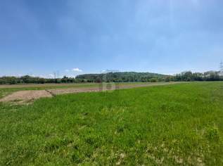 AN BAULANDGRENZE MIT HOHEM UMWIDMUNGSPOTENTIAL, 184000 €, Immobilien-Grund und Boden in 3130 Herzogenburg